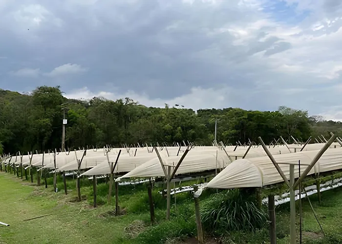 Sitio Santo Antonio - Chale 1 Com Ofuro